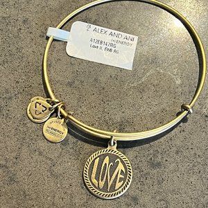 NWT Alex and Ani Love Energy charm bracelet